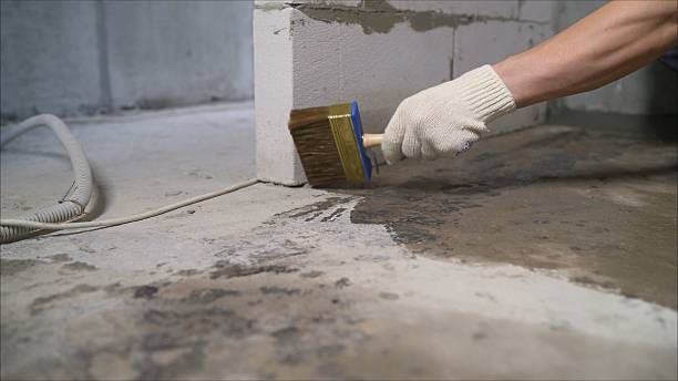 Crawl space vapor barrier installation in Forkland, AL